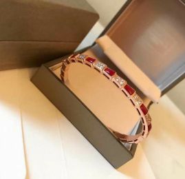 Picture of Bvlgari Bracelet _SKUBvlgaribracelet122603768